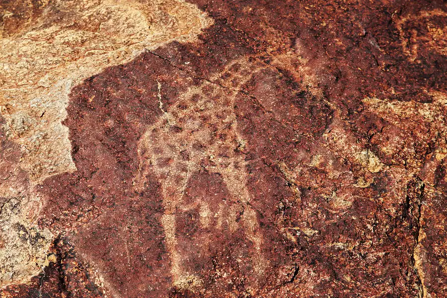 Ancient giraffe engraving at Twyfelfontein